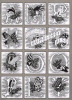 View full image