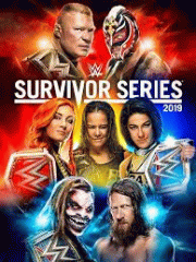 WWE. Survivor series 2019.