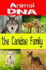 Animal DNA. The canidae family.