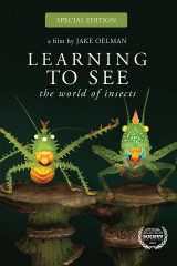 Learning to see the world of insects