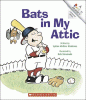 Bats in my attic