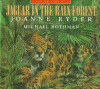 Jaguar in the rain forest