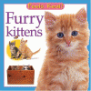 Furry kittens.