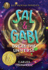 Sal and Gabi break the universe