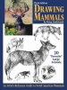 Drawing mammals