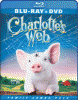 Charlotte's web