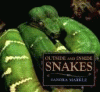 Outside and inside snakes