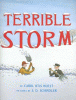 Terrible storm