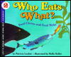 Who eats what? : food chains and food webs