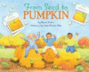 From seed to pumpkin