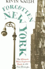Forgotten New York : views of a lost metropolis
