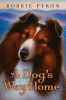 A dog's way home