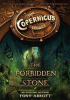 The forbidden stone