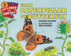From caterpillar to butterfly