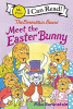 Meet the Easter Bunny