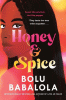 Honey and spice : a novel