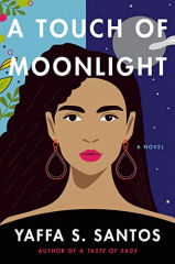A touch of moonlight : a novel