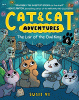 Cat & Cat Adventures: The Lair of the Owl King: A Graphic Novel