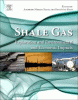 Shale gas : exploration and environmental and econ...