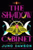 The shadow cabinet : a novel