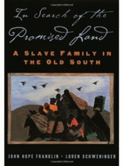 In search of the promised land : a slave family in the Old South