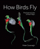 How birds fly : the science & art of avian flight