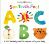See, touch, feel ABC : a first sensory book to explore with your baby