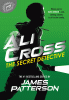 The secret detective