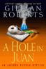 A hole in Juan : an Amanda Pepper mystery
