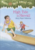 High tide in Hawaii