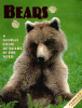 Bears : a global look at bears in the wild