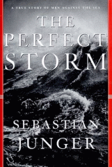 The perfect storm : a true story of men against the sea