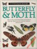 Butterfly & moth