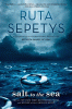 Book cover of Salt to the Sea
