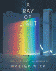 A ray of light : a book of science and wonder