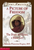 A picture of Freedom : the diary of Clotee, a slave girl