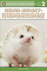 Hedge-hedgey-hedgehogs