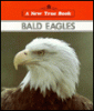 Bald eagles