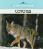 Coyotes