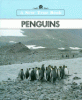 Penguins