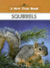 Squirrels