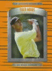 Tiger Woods : driving force
