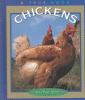 Chickens