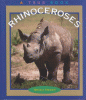 Rhinoceroses