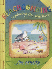 Beachcombing : exploring the seashore