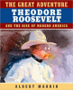 The great adventure : Theodore Roosevelt and the rise of modern America