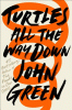 Book cover of Turtles all the way down