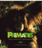 Primates : apes, monkeys, prosimians