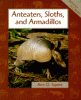 Anteaters, sloths, and armadillos
