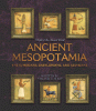 Ancient Mesopotamia : the sumerians, babylonians, and assyrians